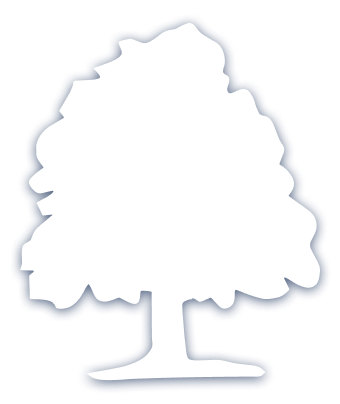 Icône représentant un arbre